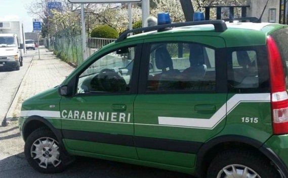 carabinieriforestali141218
